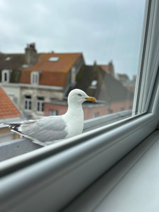Experience Malouine - Appt T3-Coeur De Malo-Plage Duinkerke Buitenkant foto